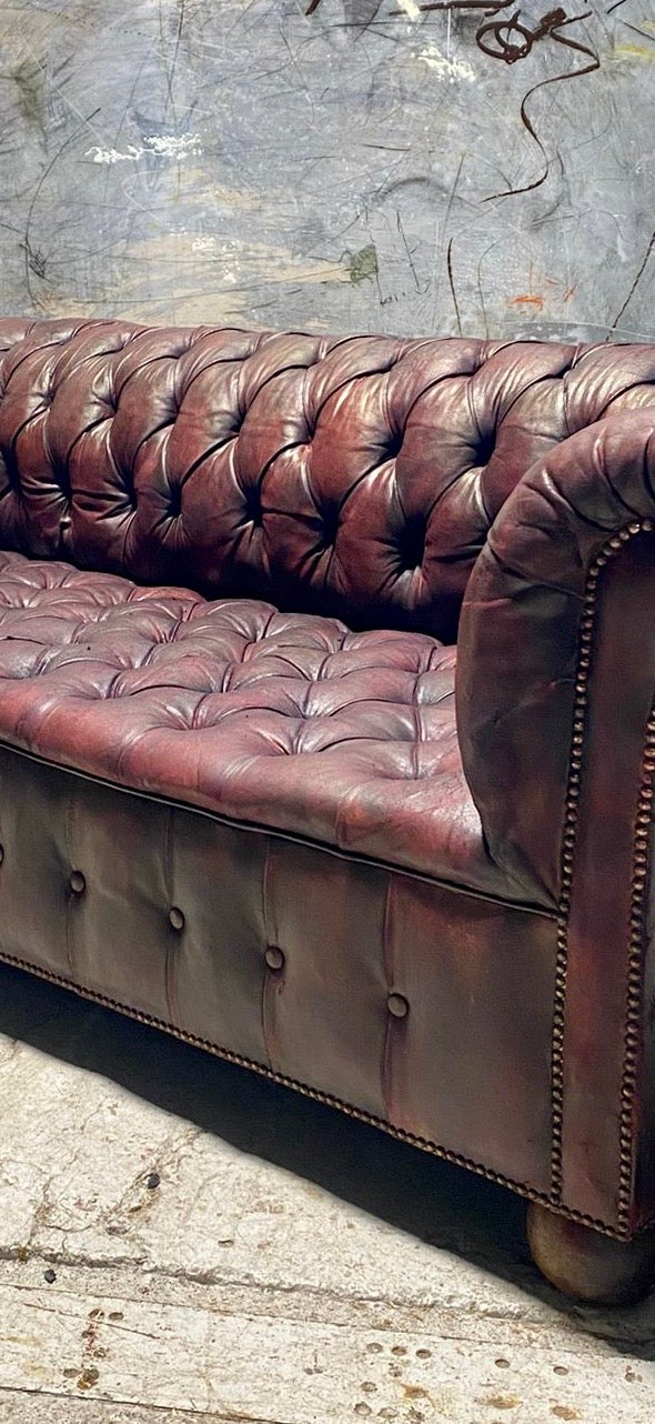 Exceptional Large Country House Leather Chesterfield Sofa Circa 1900