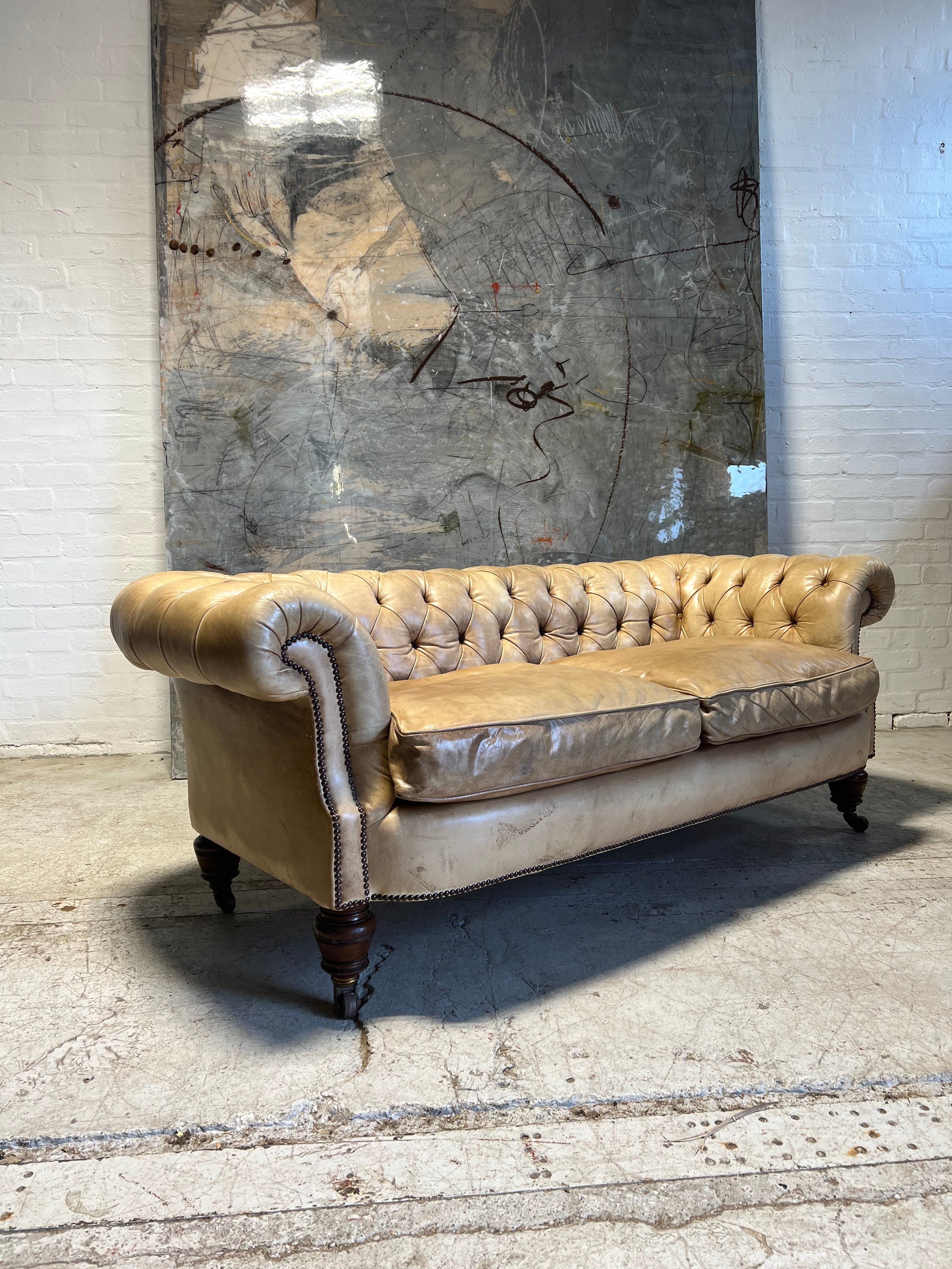 Very Smart Victorian Antique 19thC Leather Chesterfield Sofa in Hand Dyed Parchment