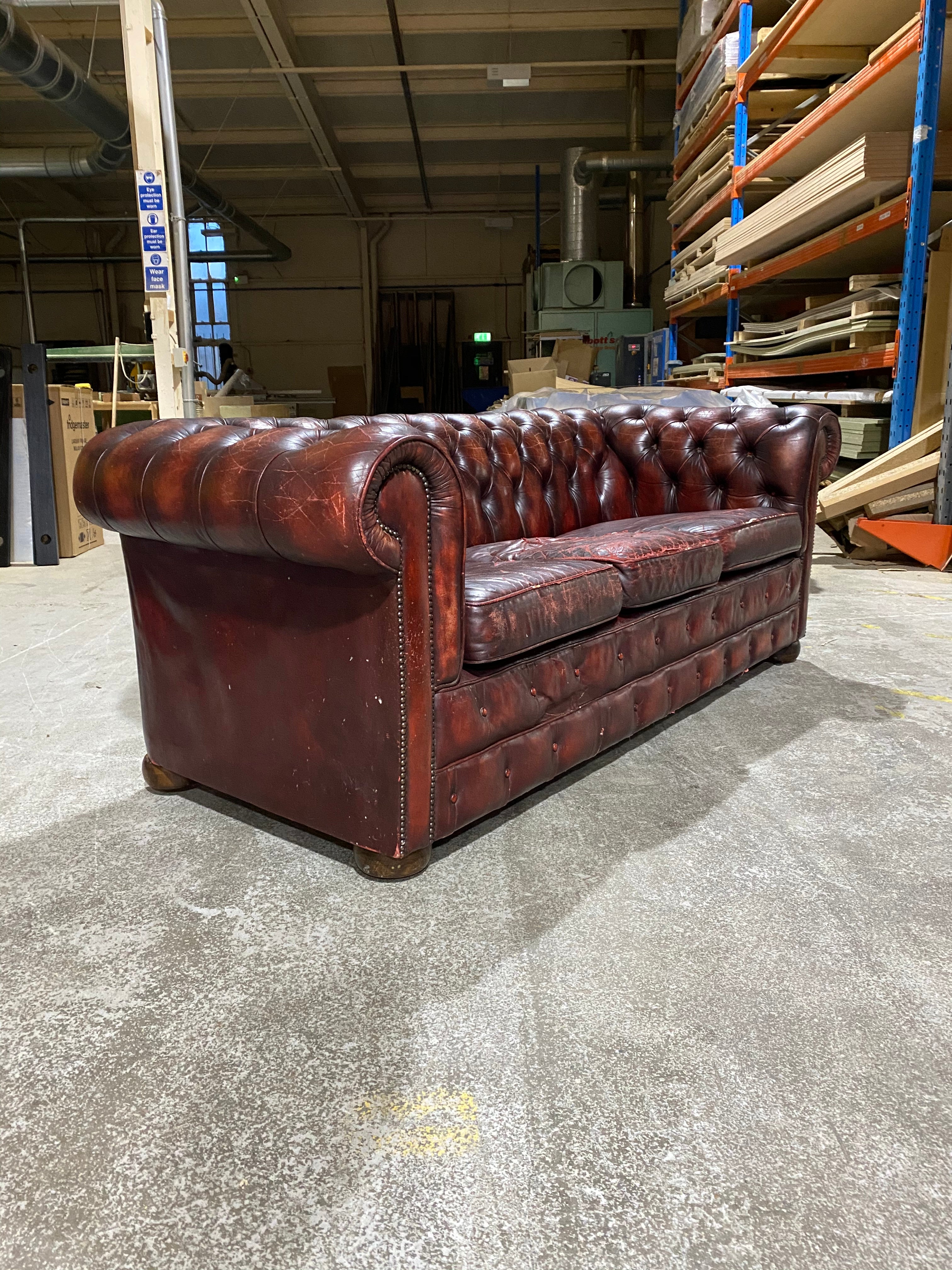 A Very Good Chesterfield Sofa in Wine